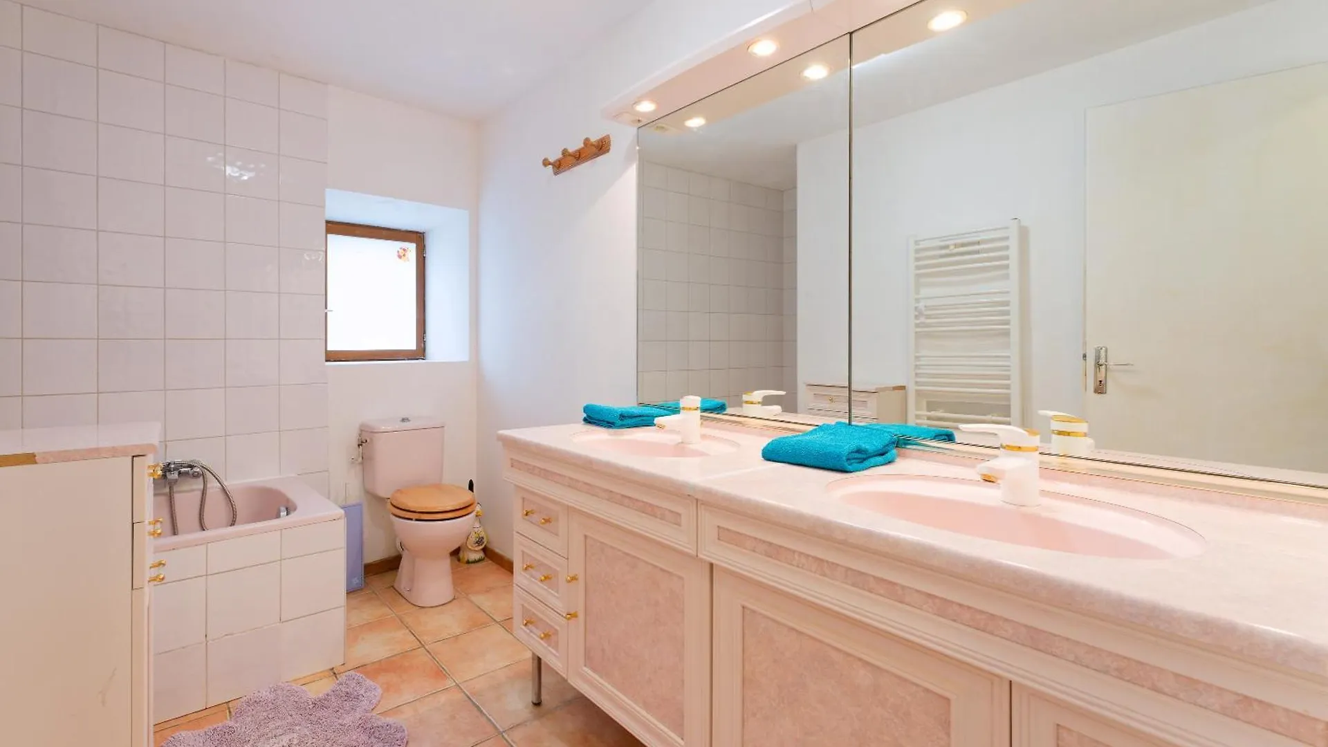 Chalet La Tournette Montmin